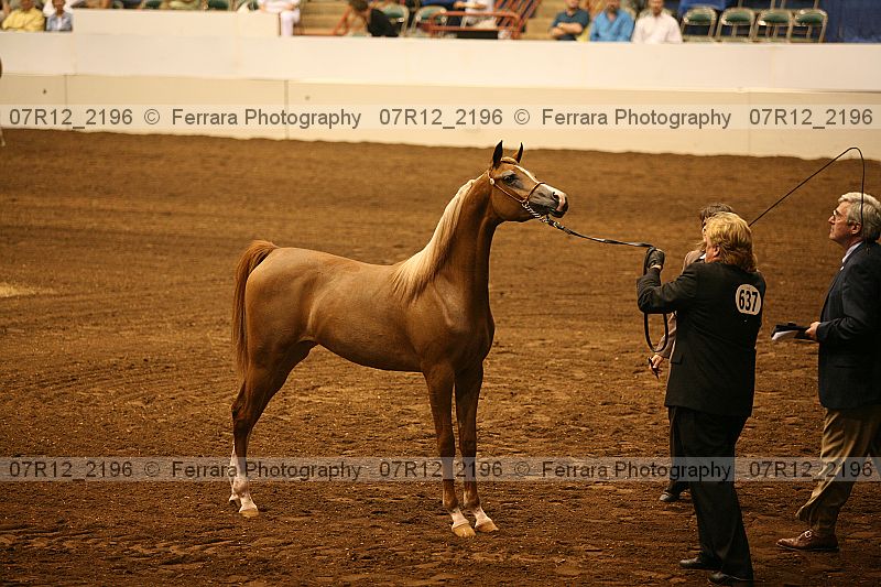 Proof 07r12_2196