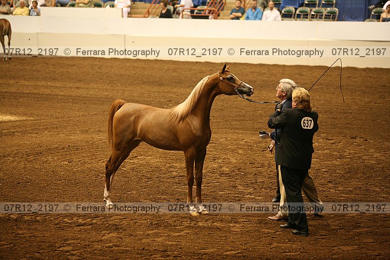 Proof 07r12_2197