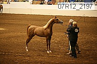 07r12_2197 proof