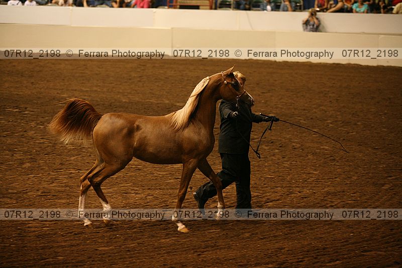 Proof 07r12_2198