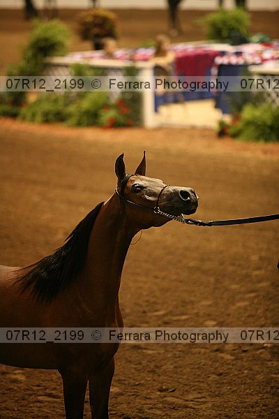 Proof 07r12_2199