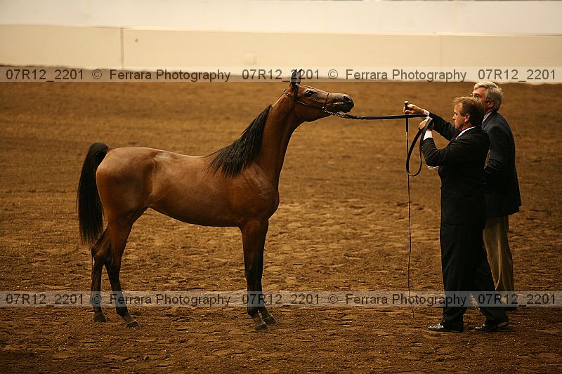 Proof 07r12_2201