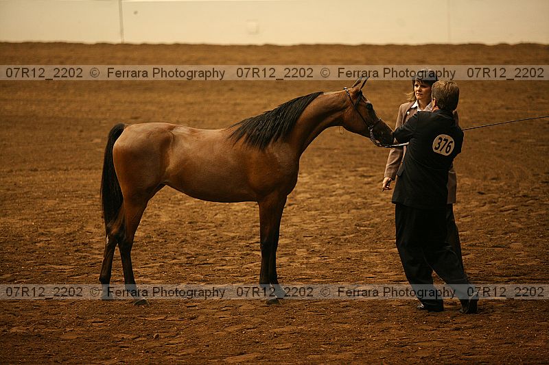 Proof 07r12_2202