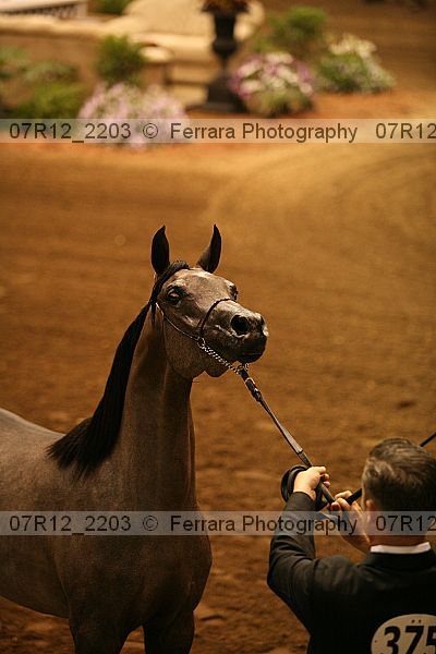 Proof 07r12_2203