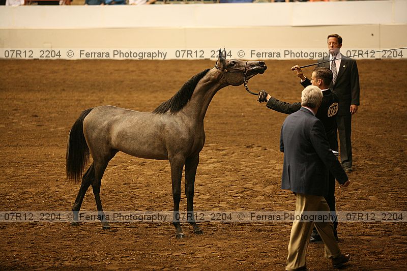 Proof 07r12_2204