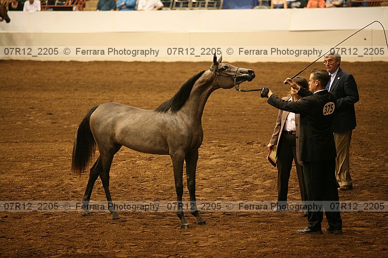 Proof 07r12_2205