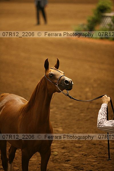 Proof 07r12_2206