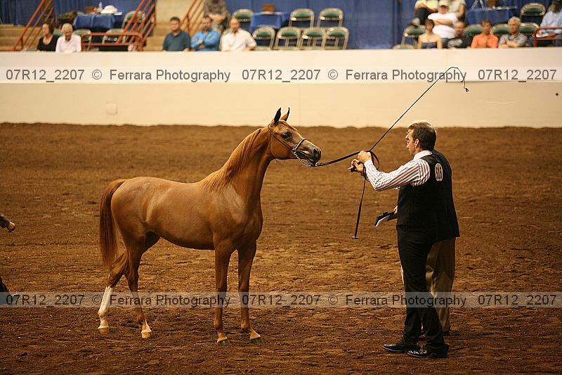 Proof 07r12_2207