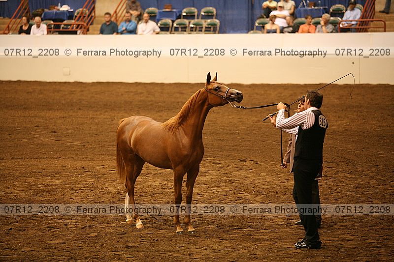 Proof 07r12_2208