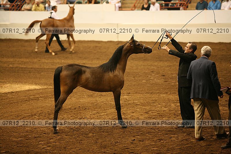 Proof 07r12_2210
