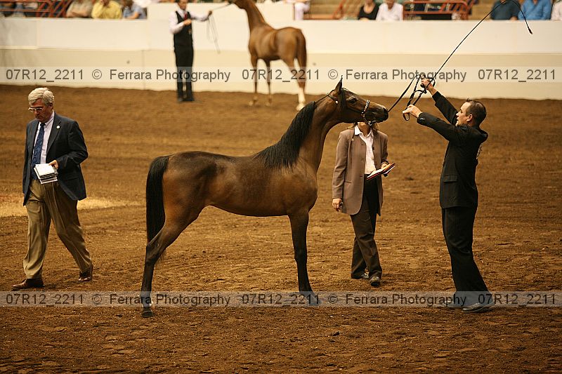 Proof 07r12_2211