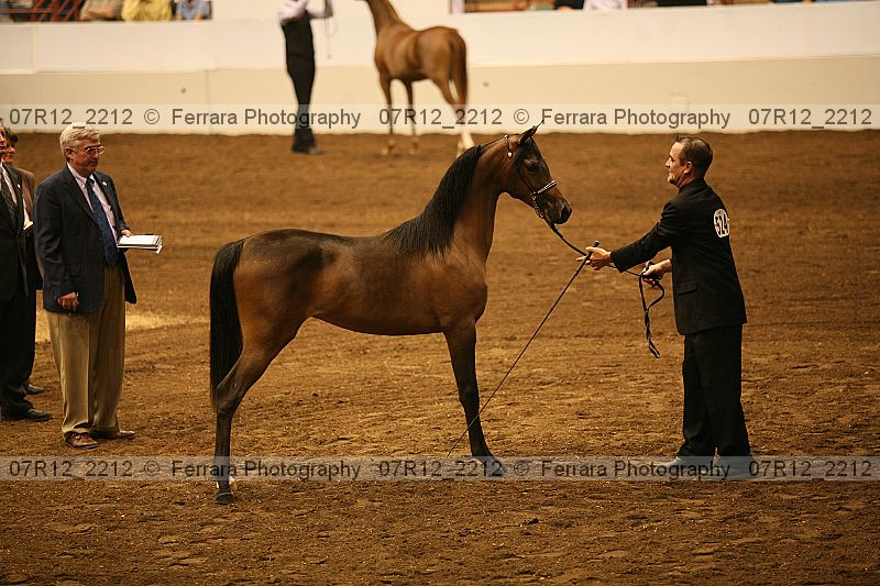 Proof 07r12_2212