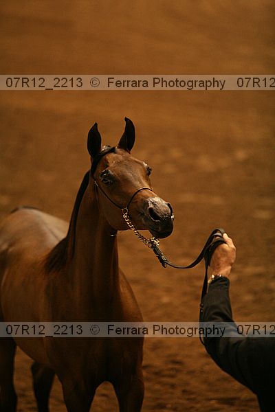 Proof 07r12_2213