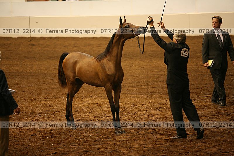 Proof 07r12_2214