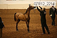 07r12_2214 proof