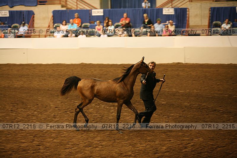 Proof 07r12_2215