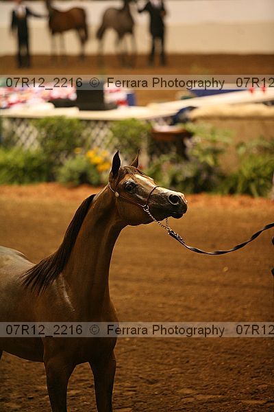 Proof 07r12_2216