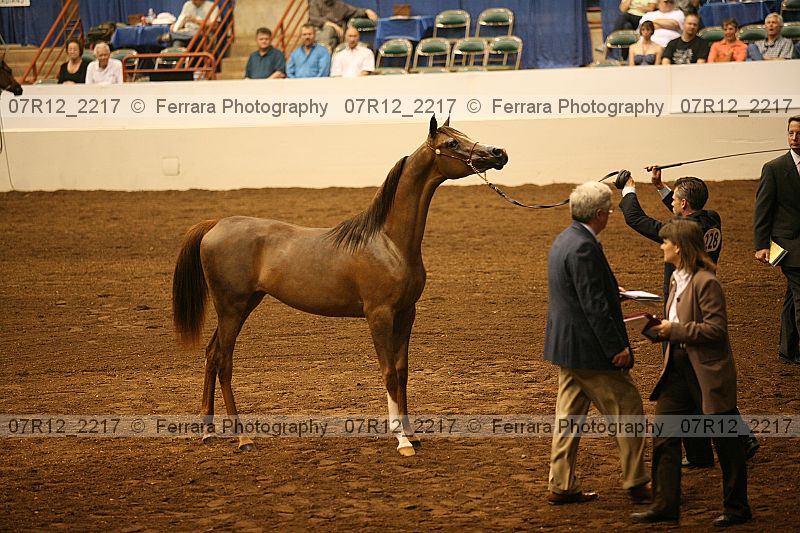 Proof 07r12_2217