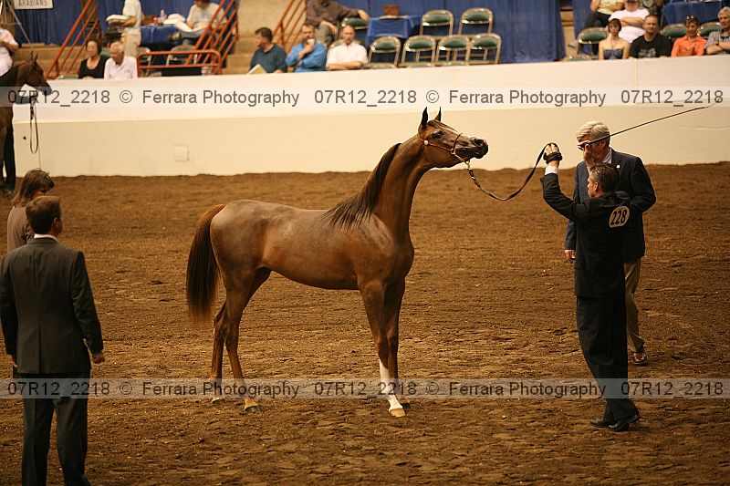 Proof 07r12_2218