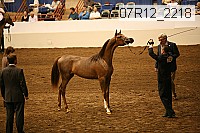 07r12_2218 proof