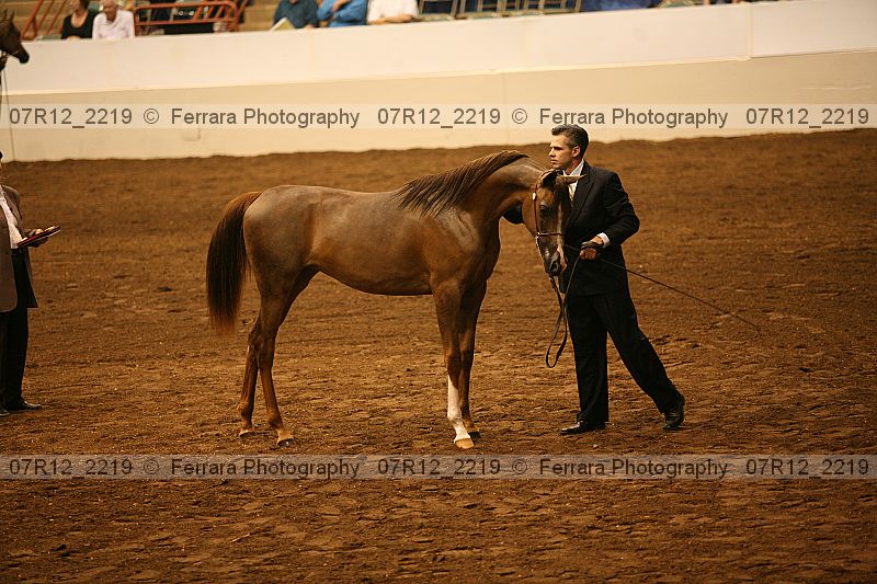 Proof 07r12_2219