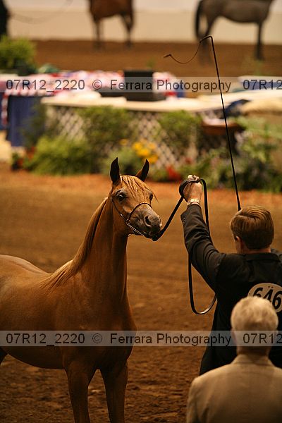 Proof 07r12_2220