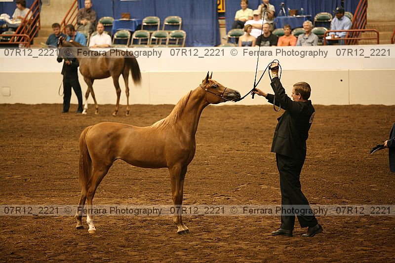Proof 07r12_2221