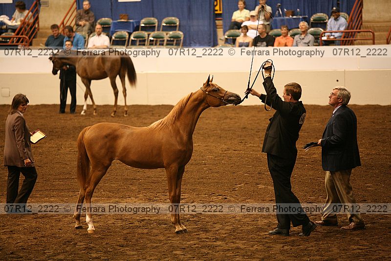 Proof 07r12_2222