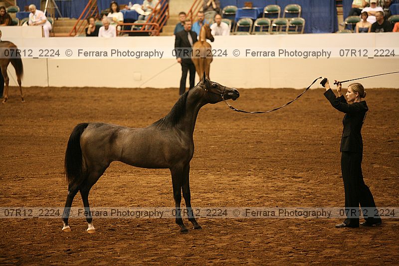 Proof 07r12_2224