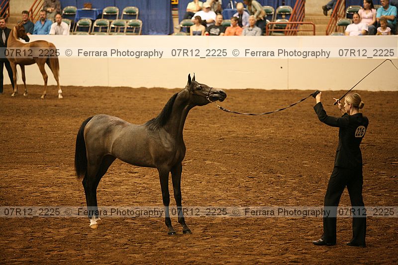 Proof 07r12_2225