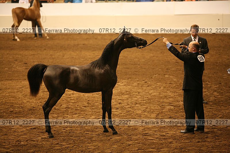 Proof 07r12_2227