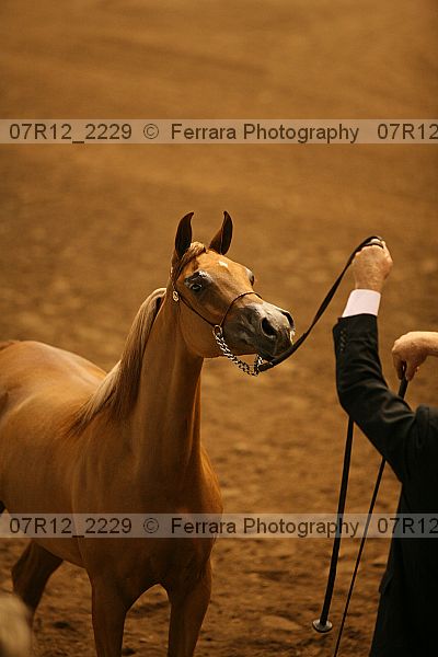 Proof 07r12_2229