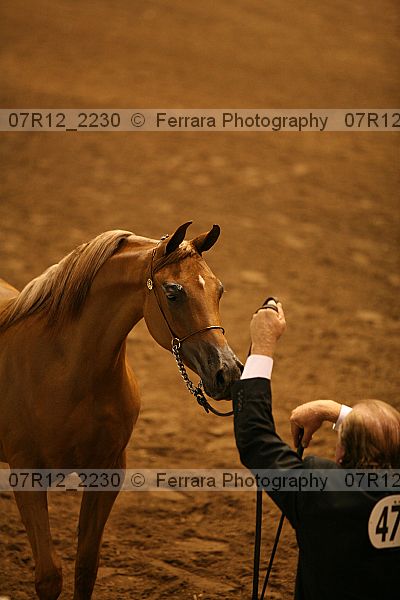 Proof 07r12_2230