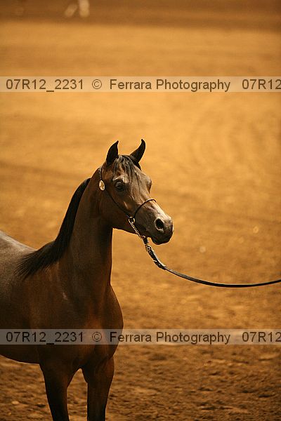 Proof 07r12_2231