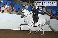 07r12_2289 proof