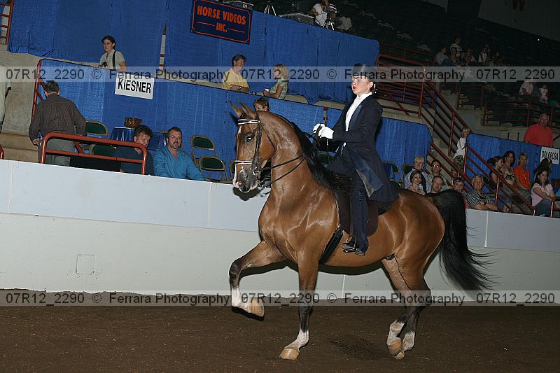 Proof 07r12_2290