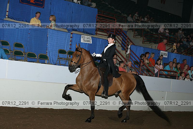 Proof 07r12_2291