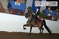 07r12_2295 proof