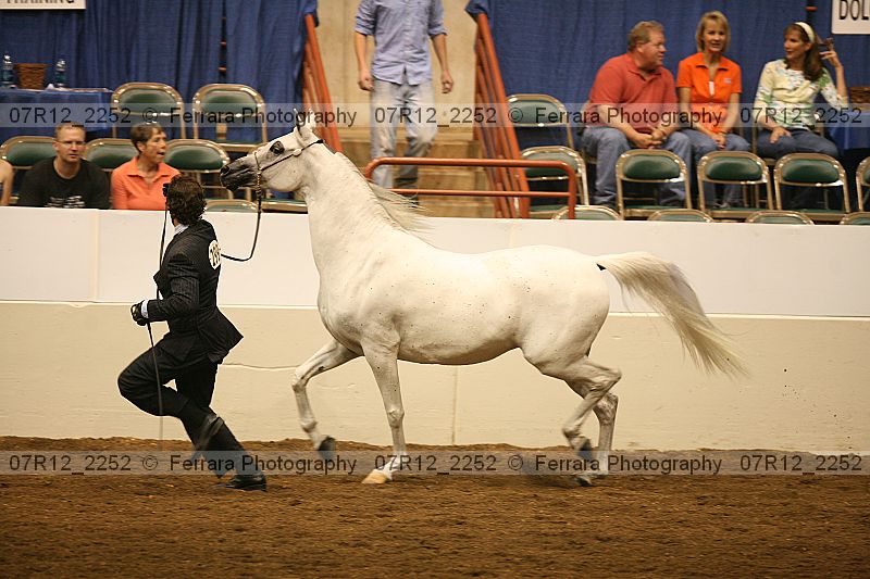 Proof 07r12_2252