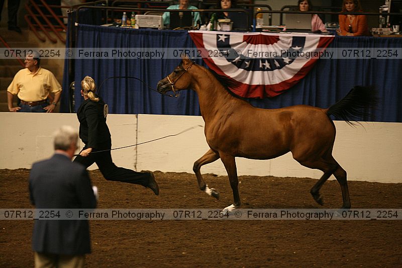Proof 07r12_2254