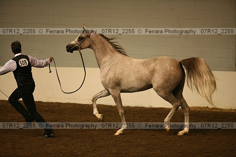 Proof 07r12_2255