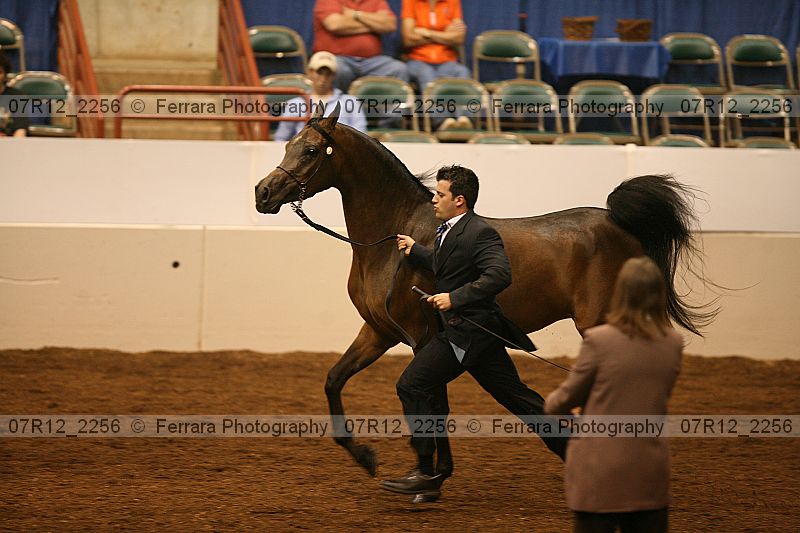 Proof 07r12_2256