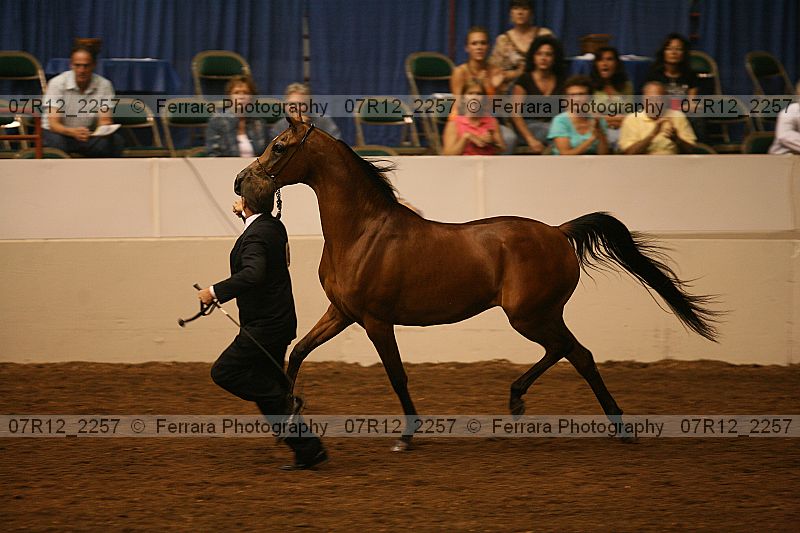 Proof 07r12_2257