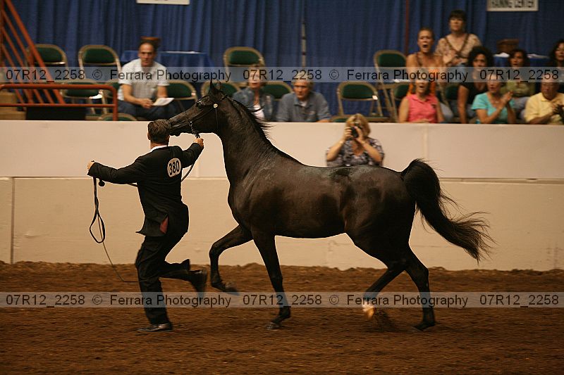Proof 07r12_2258