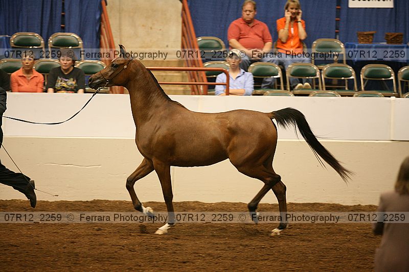 Proof 07r12_2259