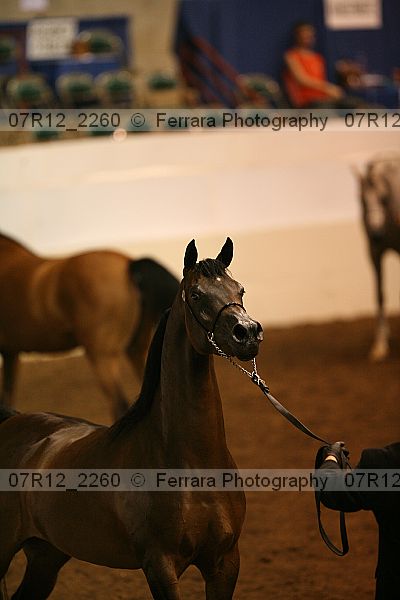 Proof 07r12_2260