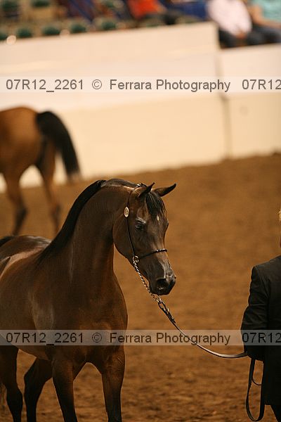 Proof 07r12_2261