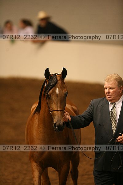 Proof 07r12_2262