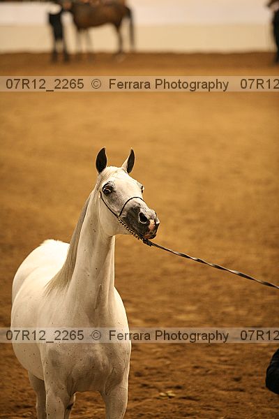 Proof 07r12_2265