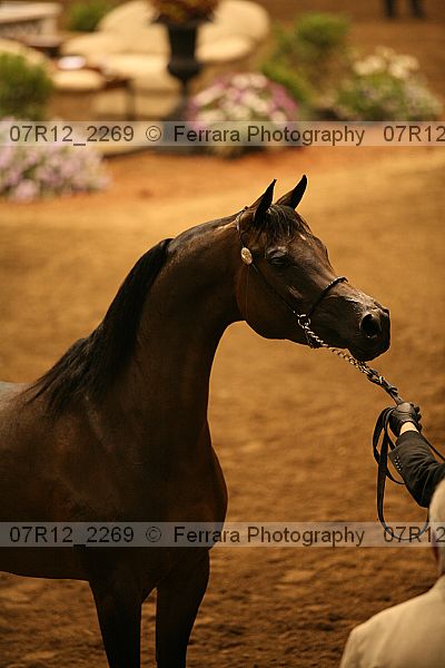 Proof 07r12_2269